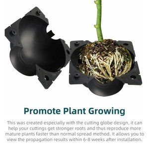 Plant Rooting Ball Container Plant Germination Box Plant Rooting Ball Plant 10PC